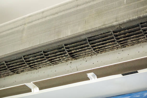 Best Emergency Air Duct Cleaning  in Harlowton, MT